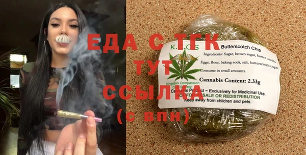хмурый Алексин