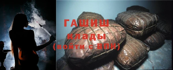хмурый Алексин