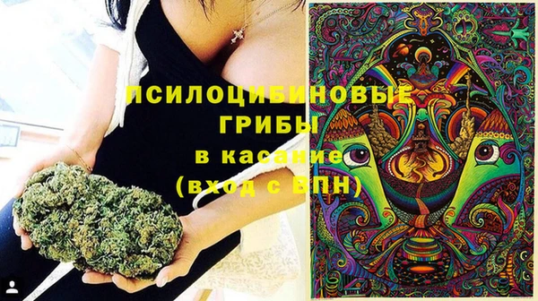 синтетический гашиш Алексеевка