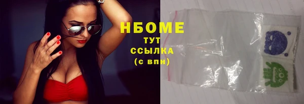 хмурый Алексин