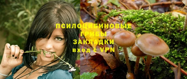 синтетический гашиш Алексеевка