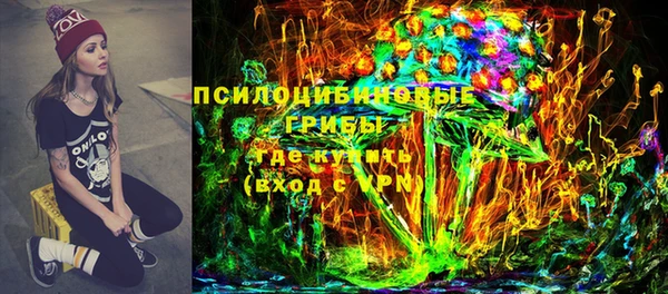 хмурый Алексин
