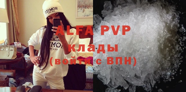 хмурый Алексин