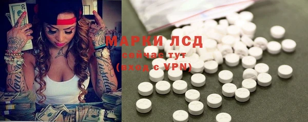 хмурый Алексин
