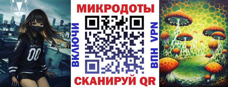 Галлюциногенные грибы Psilocybine cubensis  где можно купить наркотик  Катайск 